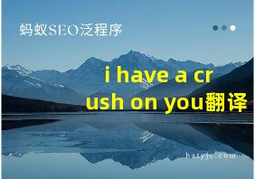 i have a crush on you翻译