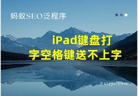 iPad键盘打字空格键送不上字