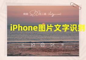 iPhone图片文字识别