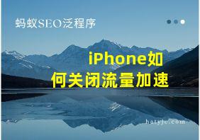 iPhone如何关闭流量加速