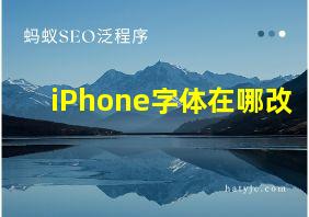 iPhone字体在哪改