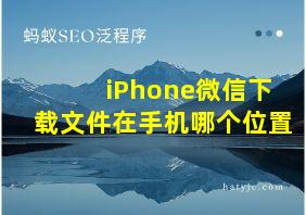 iPhone微信下载文件在手机哪个位置