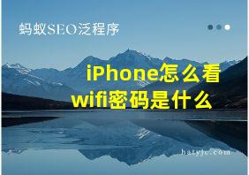 iPhone怎么看wifi密码是什么