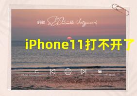 iPhone11打不开了