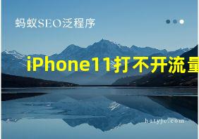 iPhone11打不开流量