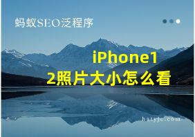 iPhone12照片大小怎么看