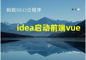 idea启动前端vue