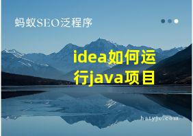 idea如何运行java项目