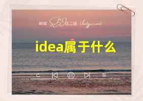 idea属于什么