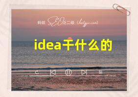 idea干什么的