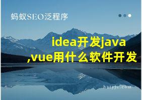 idea开发java,vue用什么软件开发