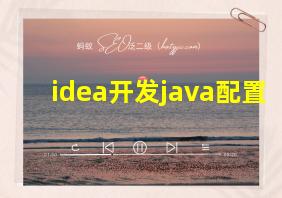 idea开发java配置