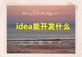 idea能开发什么