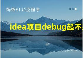 idea项目debug起不来