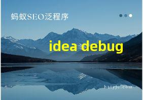 idea debug