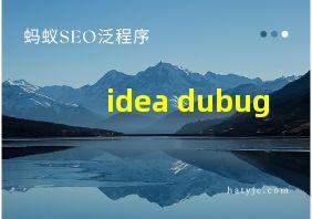 idea dubug