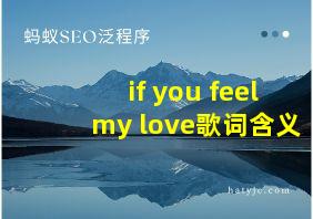 if you feel my love歌词含义