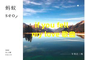 if you fell my love 歌曲