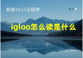 igloo怎么读是什么