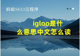 igloo是什么意思中文怎么读