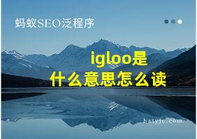 igloo是什么意思怎么读