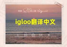 igloo翻译中文