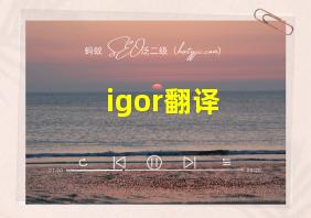 igor翻译