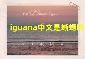 iguana中文是蜥蜴吗