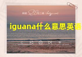 iguana什么意思英语