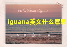 iguana英文什么意思