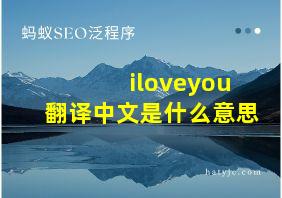 iloveyou翻译中文是什么意思