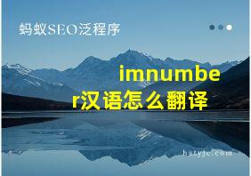 imnumber汉语怎么翻译