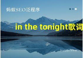 in the tonight歌词