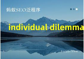 individual dilemmas翻译