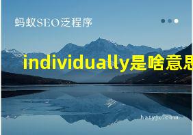 individually是啥意思