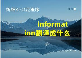 information翻译成什么