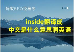 inside翻译成中文是什么意思啊英语