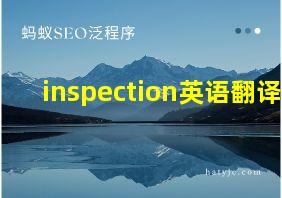 inspection英语翻译