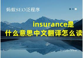 insurance是什么意思中文翻译怎么读