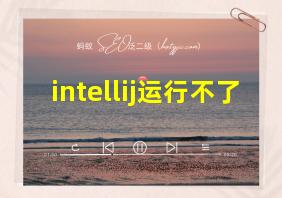 intellij运行不了