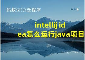 intellij idea怎么运行java项目