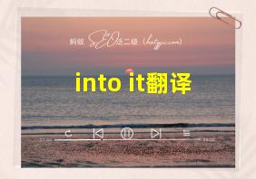 into it翻译