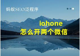 iohone怎么开两个微信