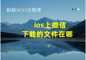 ios上微信下载的文件在哪