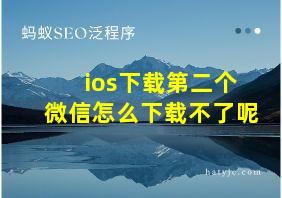 ios下载第二个微信怎么下载不了呢