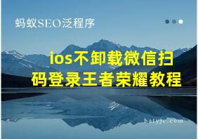 ios不卸载微信扫码登录王者荣耀教程