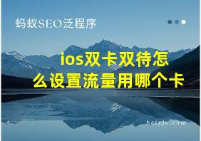 ios双卡双待怎么设置流量用哪个卡