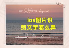 ios图片识别文字怎么弄