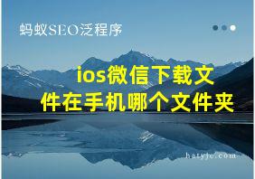 ios微信下载文件在手机哪个文件夹