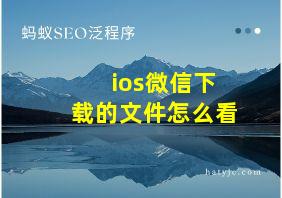 ios微信下载的文件怎么看